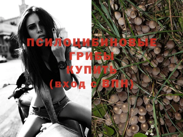 2c-b Балахна