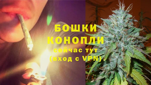круглые Белокуриха