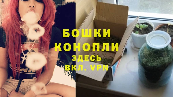 круглые Белокуриха