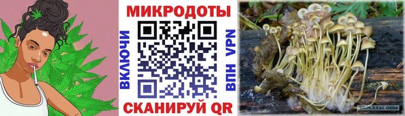 Галлюциногенные грибы Magic Shrooms  blacksprut вход  Княгинино 